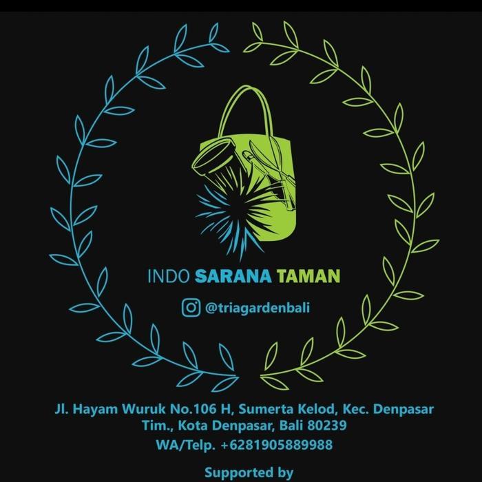 Top Pot Anggrek VANDA 1 Lusin Pot Anggrek Pot Tillandsia Pot Vanda 1 Lusin