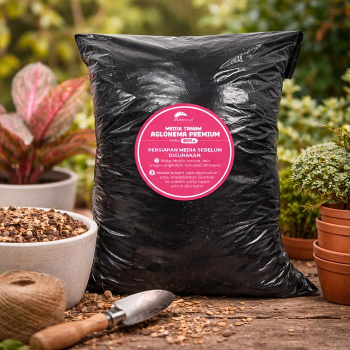 "New" Media Tanam Aglonema Fermentasi Media Tanam Premium Aglonema tanaman