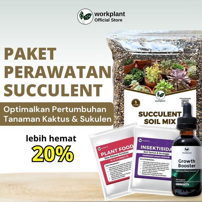 Workplant - Paket Perawatan Succulent Optimalkan Pertumbuhan Tanaman Hias Kaktus Dan Sukulen