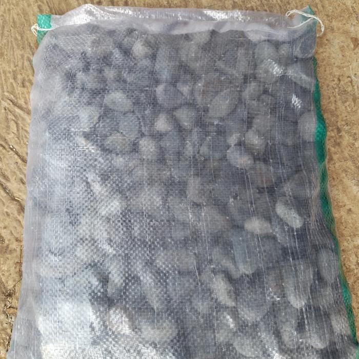 BATU KORAL HITAM 10KG // BATU HIASAN TAMAN KORAL BENGKULU