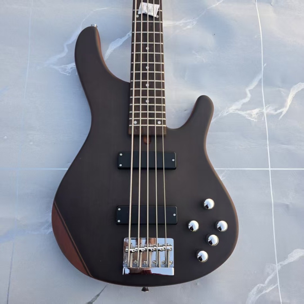 Five-String Electric Guitar, Bass, Electric Bass, Professional Performance