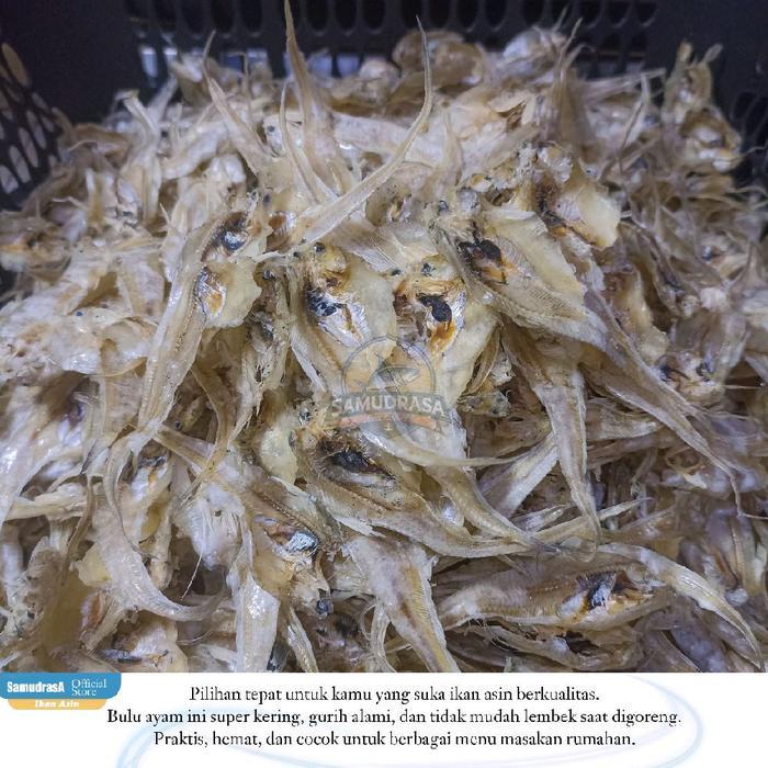 "New" Ikan Asin Bulu Ayam Super Gurih Food Kering Premium Fresh Lauk Khas Surabaya