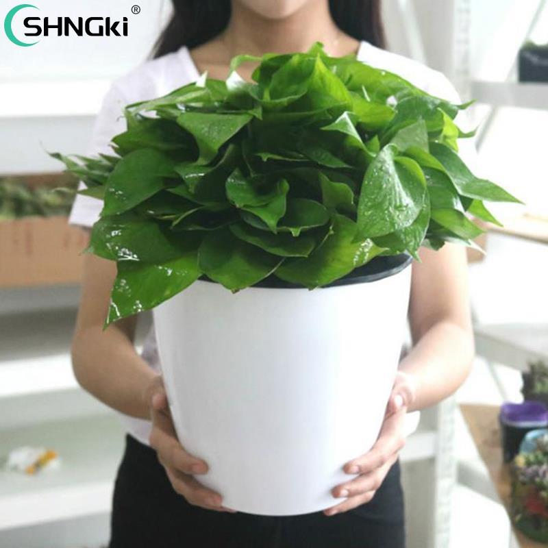 Budaya Air Dinding Gantung Basin Keranjang Tanaman Penyimpanan Pemegang PP Pot Bunga Pot Bunga Otoma