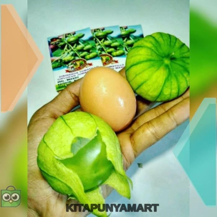 3 Benih Ciplukan Jumbo Morel Berry Hijau Bibit Tanaman Buah Buahan AAA