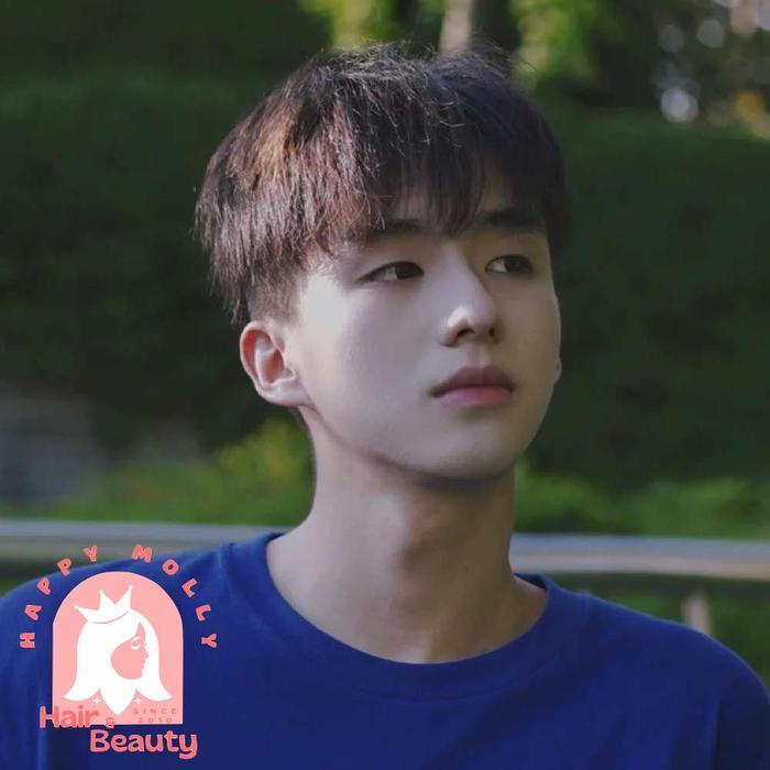 Toupee Pria Korean Style - Rambut Palsu - Hair Clip Wig