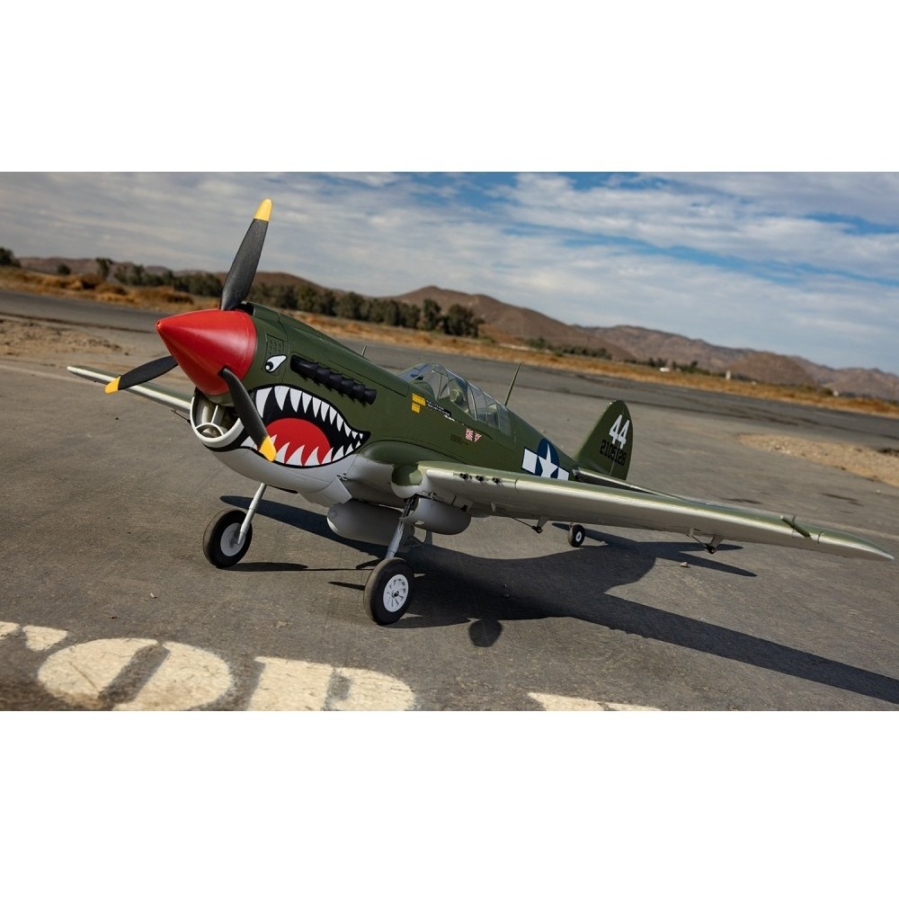 AF Model RC Warbird P-40 P40 Warhawk 1100mm Wingspan Propeller Plane