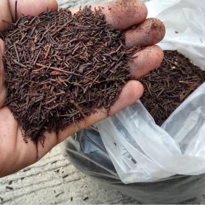 1Kg Media Tanam Akar Pakis Cacah