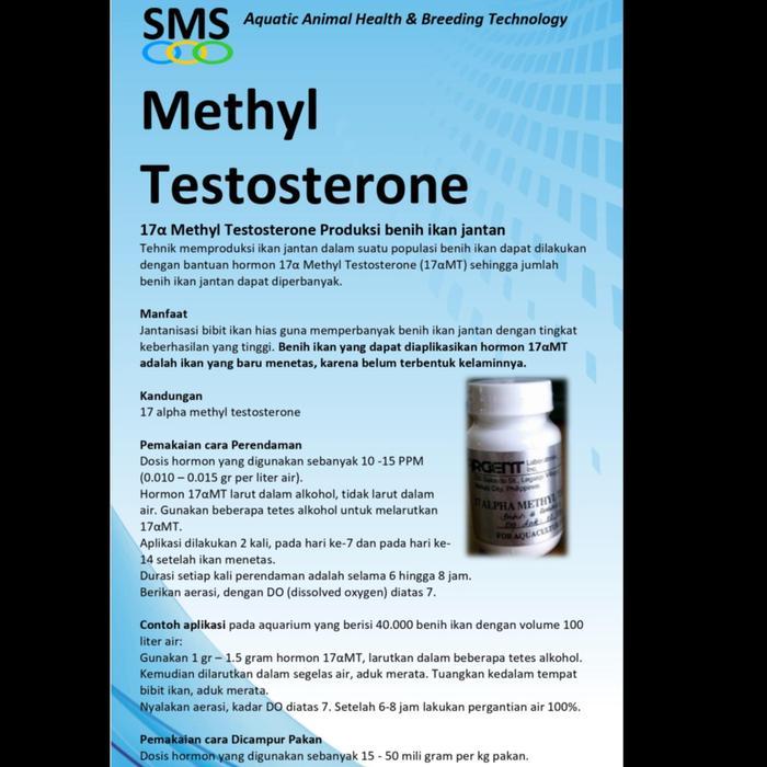 ARGENT 17A METHYL TESTOSTERONE 10 GR