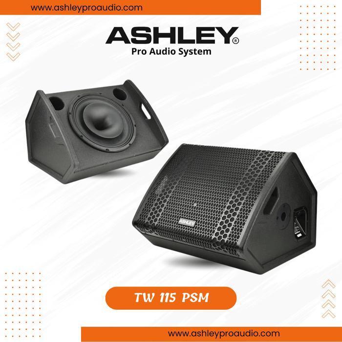 Speker Passive Ashley TW 115