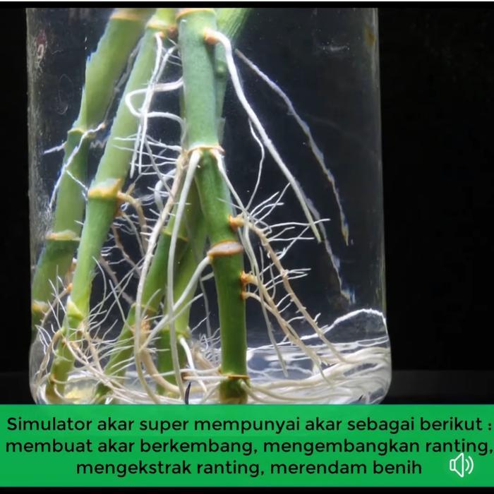 Root 90 USA Booster Akar Import Perlebat Dan Pemicu Akar 20ml