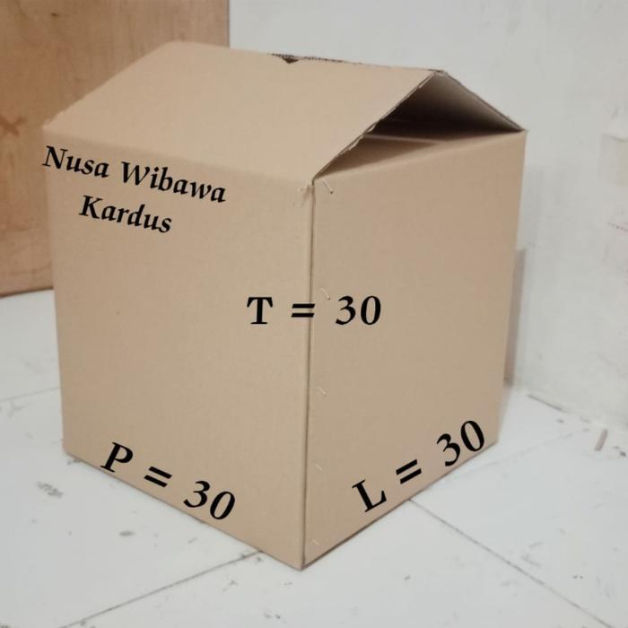 Karton box 30X30X30
