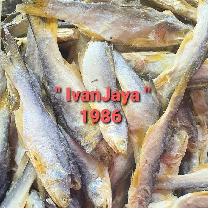 IKAN SINANGIN MEDAN 500GRAM