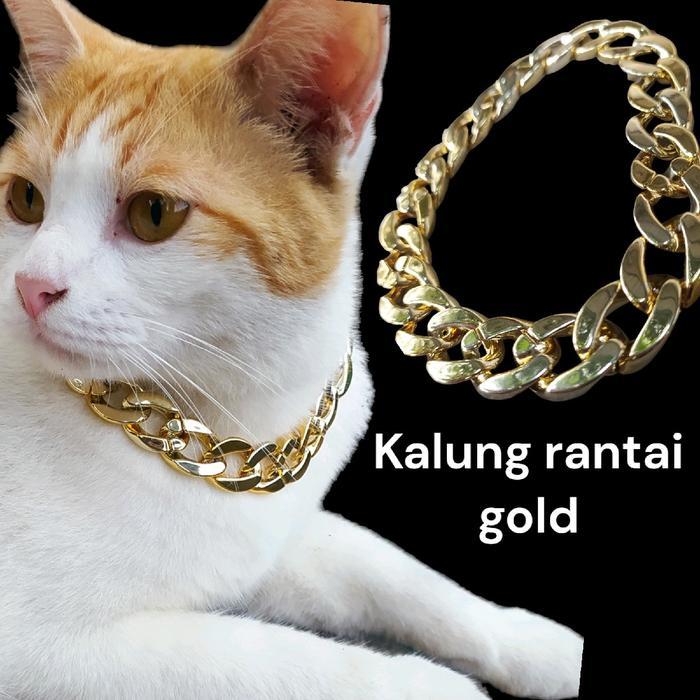 kalung kucing anjing anabul rantai warna gold besar