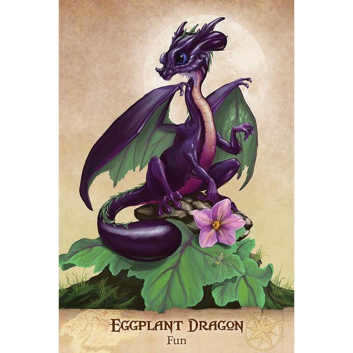 FIELD GUIDE TO GARDEN DRAGONS