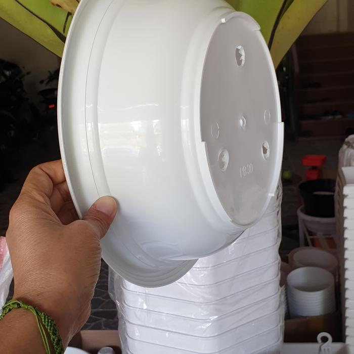 "New" Pot bonsai plastik 30 bulat ceper murah grosir