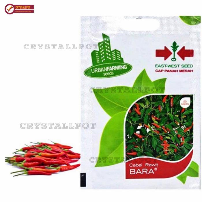 "New" benih bibit cabai rawit bara cap panah merah - CABAI RAWIT BARA