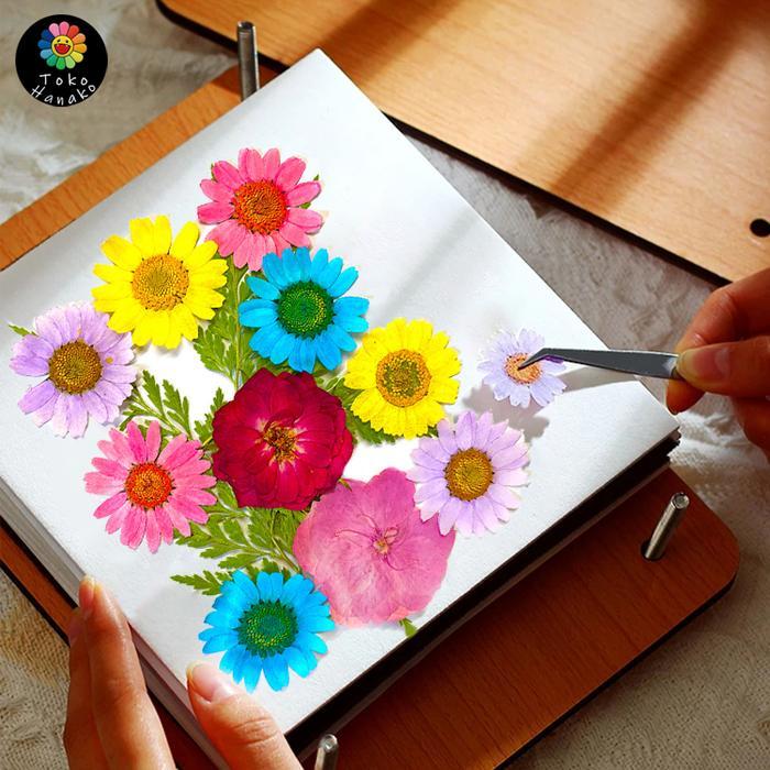 Bunga Kering/Pressed Flower Mixed Natural Dried Flowers/Natural Dried Flowers/Pressed Flower Diy
