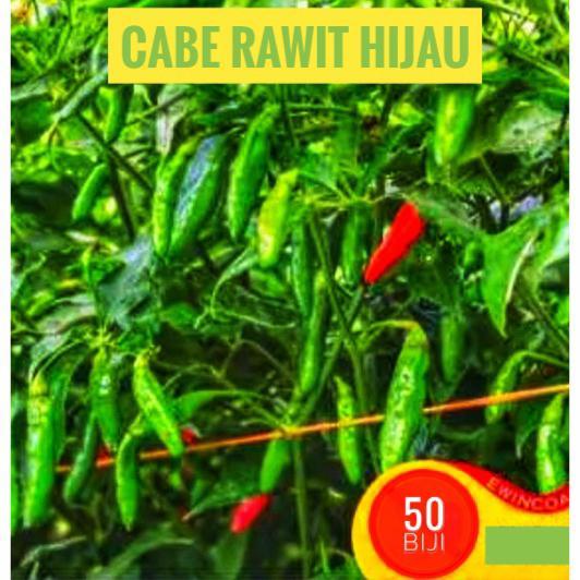 BENIH BIJI CABE RAWIT HIJAU CABAI RAWIT IJO RAJO