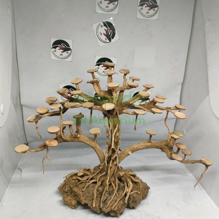 Tebing Akar Kayu Bonsai Beringin Double Hiasan Aquarium Aquascape