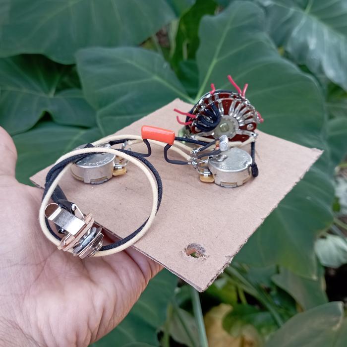 Per wiring Gitar HH 5 Way CTS Super Switch Wiring Harness - IM