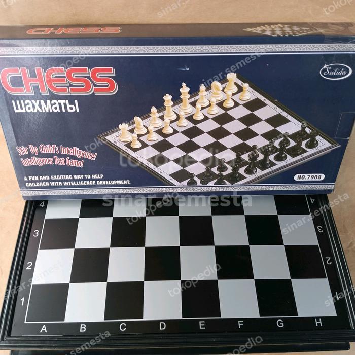 Papan Catur Magnet Besar