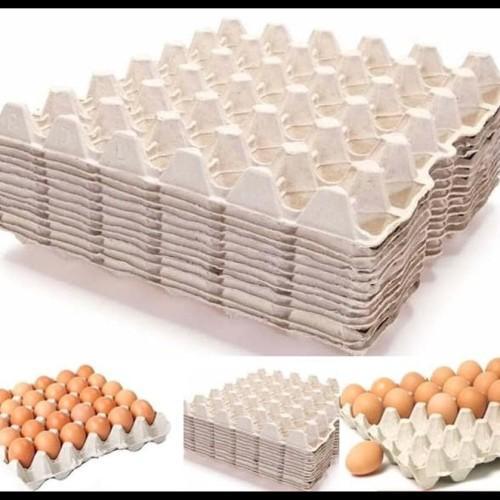 Tray Telur / Egg Tray / Tempat Telur/ Tray Telur Karton minimal 10 Lembar