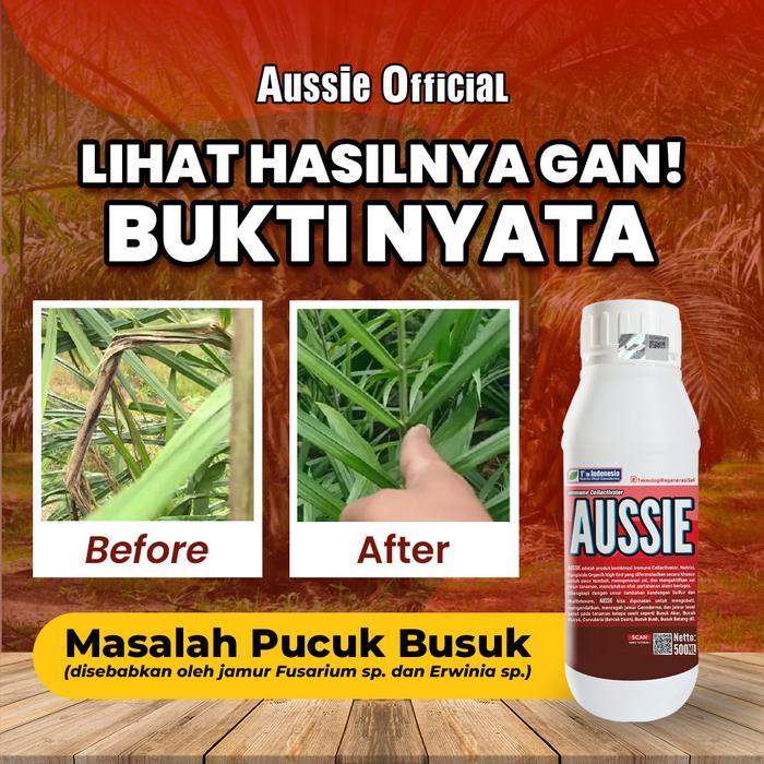 AUSSIE 1L - Pupuk Super Obat Ganoderma untuk Tanaman Sawit Basmi Tuntas Jamur Perbesar Buah Sawit