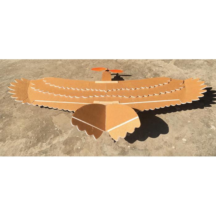 RC PLANE "EAGLE" LASER CUT PUZZLE KIT