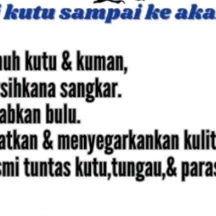 Shampoo Burung Basmi Kutu Burung 1 Liter/Shampo Kutu Burung/Shampo Anti Kutu Burung/Sampo Anti Kutu