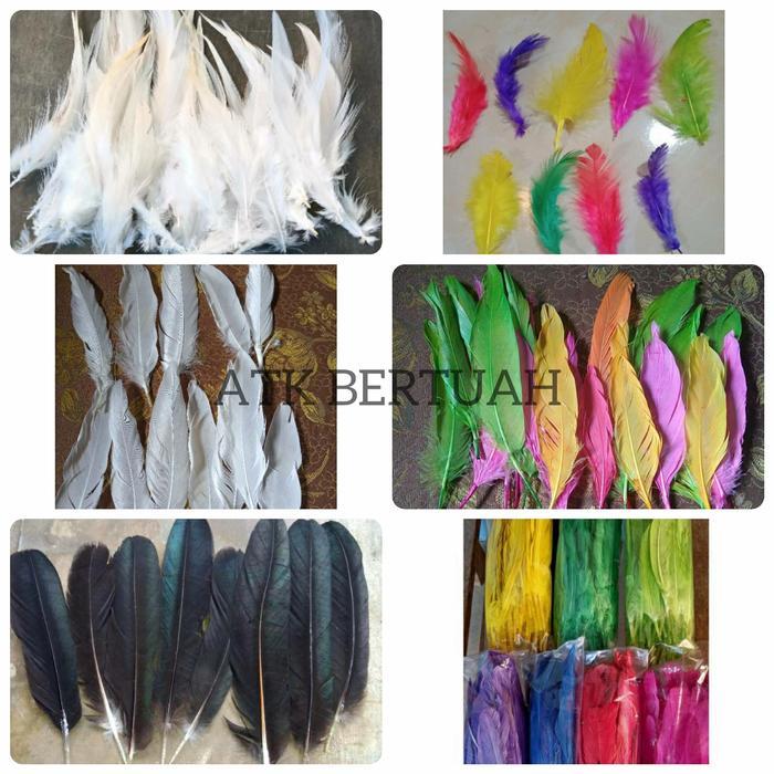 BULU AYAM BEBEK NATURAL PUTIH WARNA