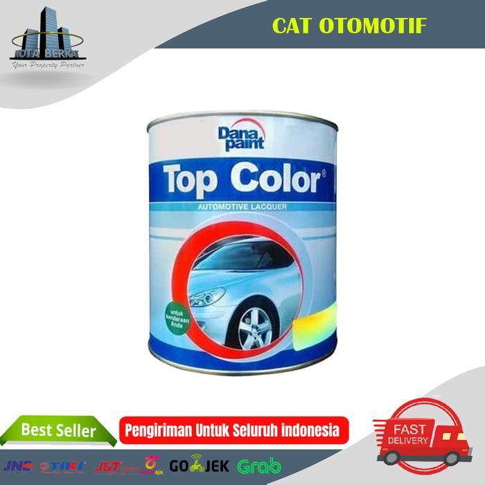 CAT BESI DAN KAYU TOP COLOR / CAT DUCO TOP COLOR DANA PAINT