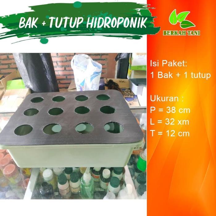Bak Hidroponik Dan Tutup Hidroponik 12 Lubang Khusus POS