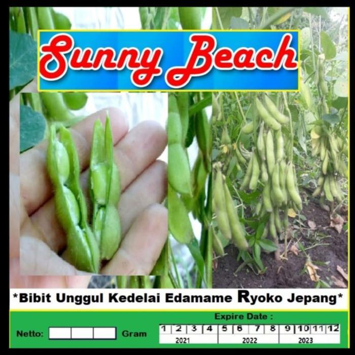 Bibit Unggul Edamame Ryoko Jepang Kemasan Derigen Benih Edamame Ryoko