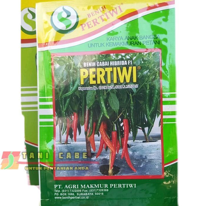 BENIH CABAI BESAR PERTIWI F1 KEMASAN 10 GRAM Bibit