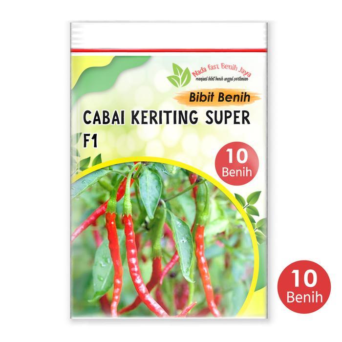 5 Biji Benih Cabe merah keriting Lado unggulan