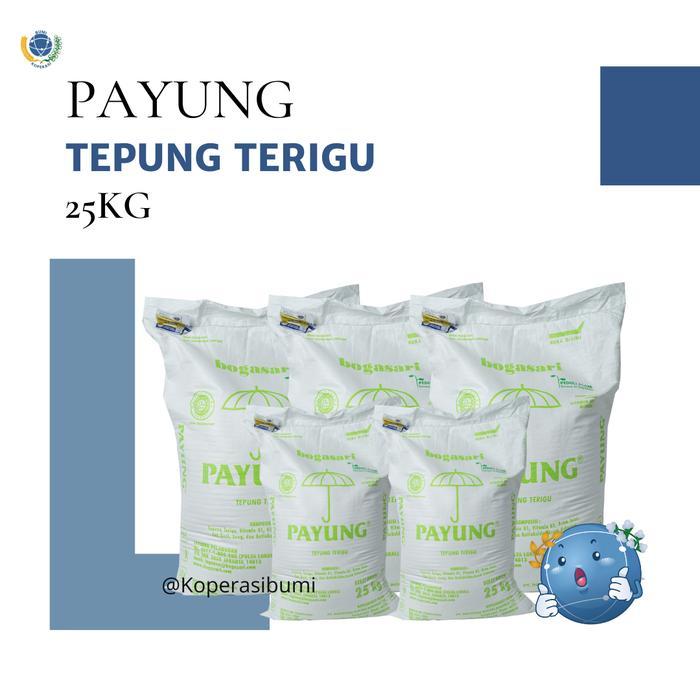 Tepung Terigu Bogasari Payung 25 Kg