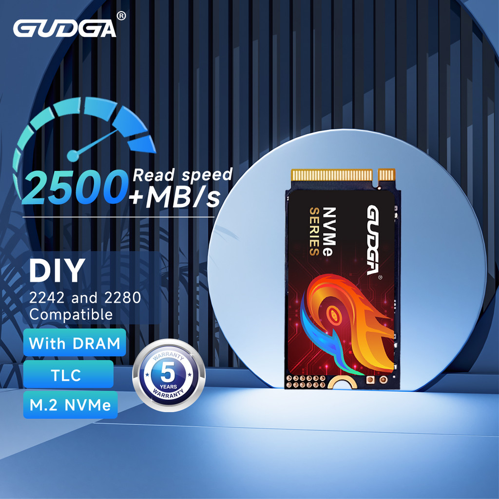 SPECIAL Nvme 2242 M2 SSD 256GB PCIe3.0 With DRAM Best Buy Heatsink HDD M2 Nvme Drives NMVE 2280 For 