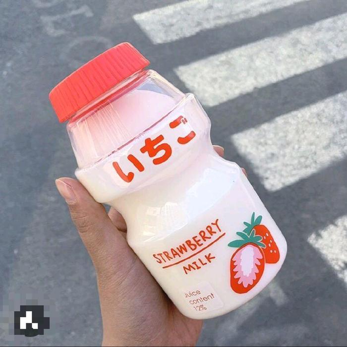 B (B44) BOTOL MINUM ANAK ALA KOREA / BOTOL SUSU KOREA 480 ML