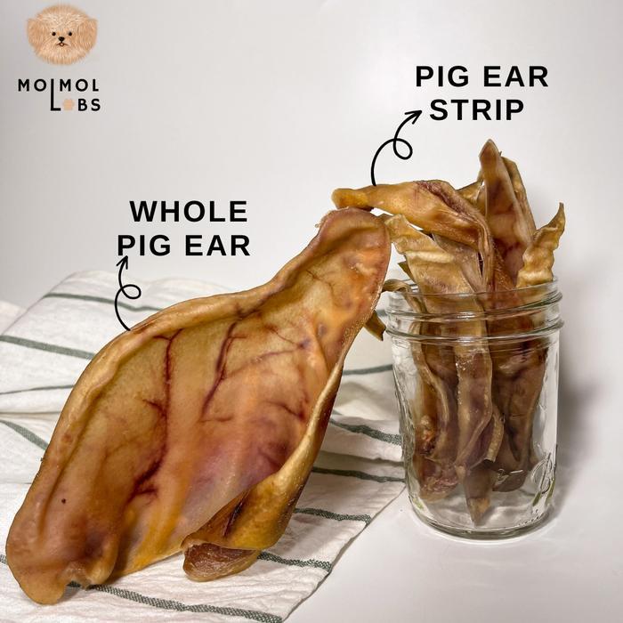 Pig Ear Dog Snack / Treat