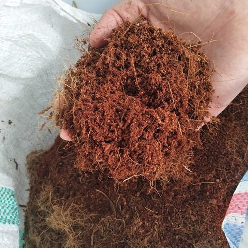 Cocopeat Kasar 1 Karung 6-7 kg Media Tanam Tanaman Hidroponik Cocopit Alami Kelapa