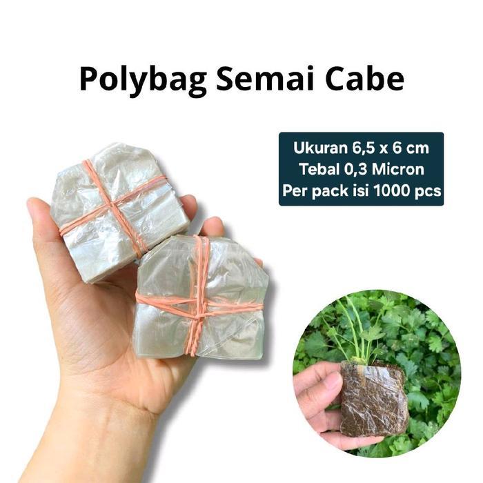 Plastik Polybag / Polibeg Semai Cabai / Cabe dan Sayur ISI 1000 lembar Media