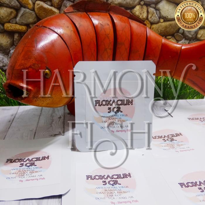 FLOXACILIN 100GR OBAT VIRUS BAKTERI LUKA FIN TAIL ROT ENROFLOXACIN HCL