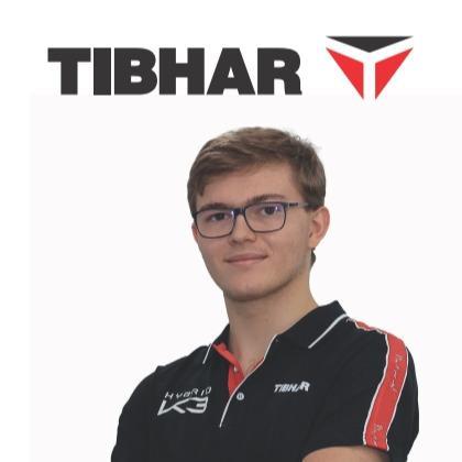 Kayu bet Tibhar ALEXIS LEBRUN KRYPTO CARBON bet tenis meja ping pong original rakit custom original