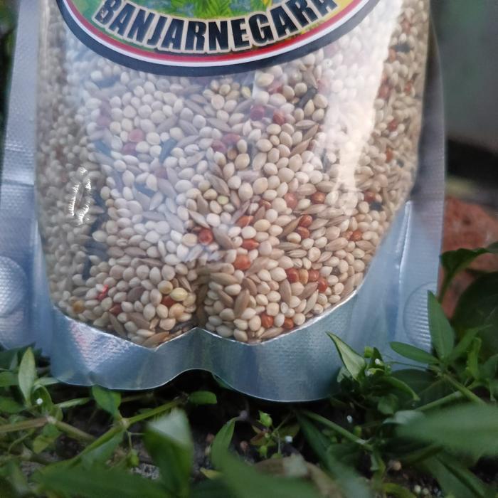 Pakan Gemilang Abadi Untuk Love Bird Konslet Usia Balibu Dan Dewasa