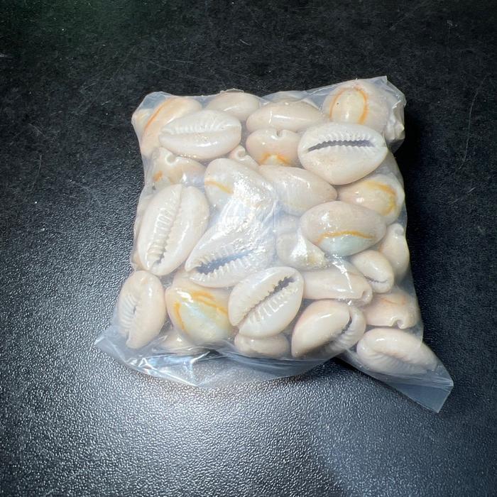 Kerang Kuwuk Congklak 100 Gr