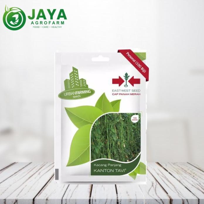 Benih-Bibit Kacang Panjang Kanton Tavi (Cap Panah Merah)