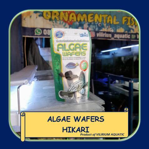 PAKAN IKAN HIAS - PELET PLECO / PAKAN PLECO / PAKAN SAPU SAPU / WAFERS ALGAE / ALGAE WAFERS HIKARI /