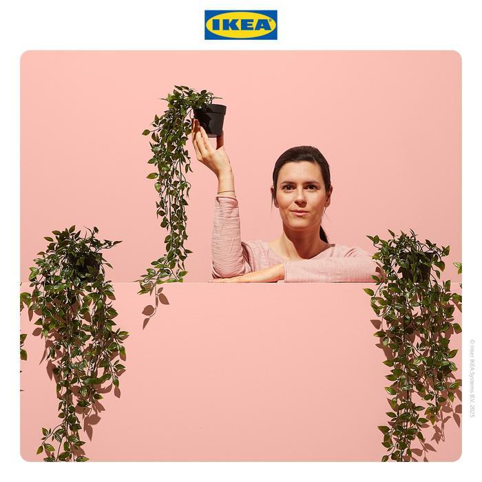 IKEA FEJKA TANAMAN HIAS GANTUNG DENGAN POT 9 CM