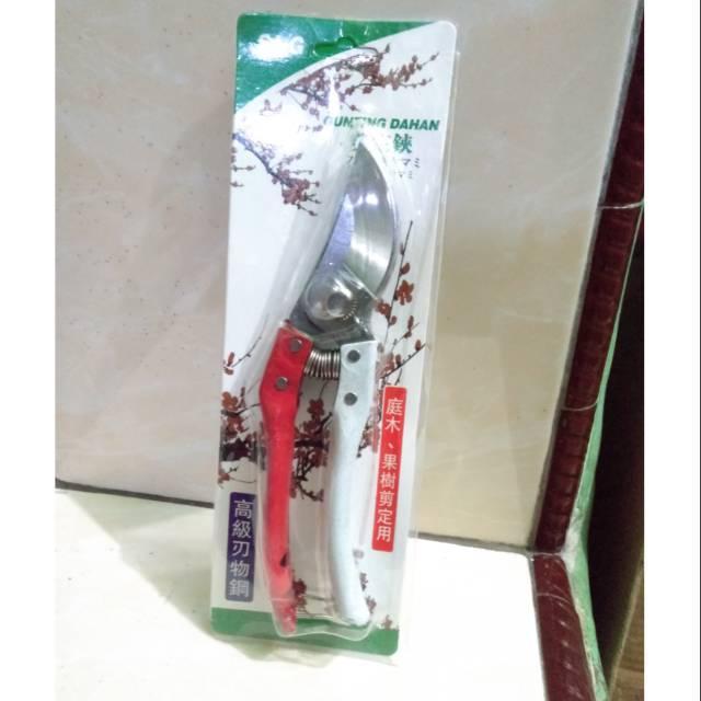 Soligen Gunting dahan gunting tanaman gunting stek soligen