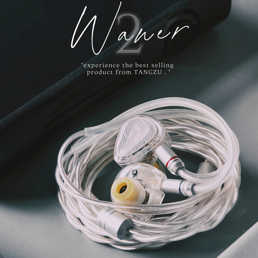 Tangzu Waner 2 Dynamic Drr In-Ear Earphones High-Quality Sound Comfortable Wearing Wired Earbuds